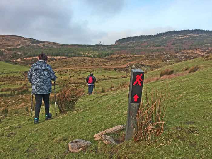 lomanagh meadow 700 550