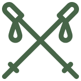 Walking poles icon